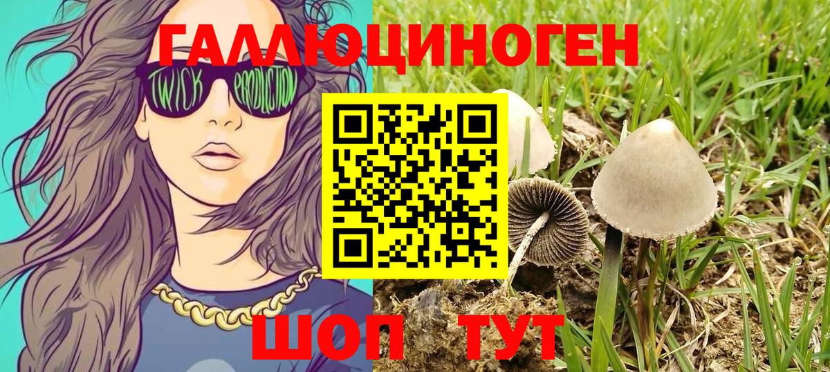 Псилоцибиновые грибы MAGIC MUSHROOMS Тайшет
