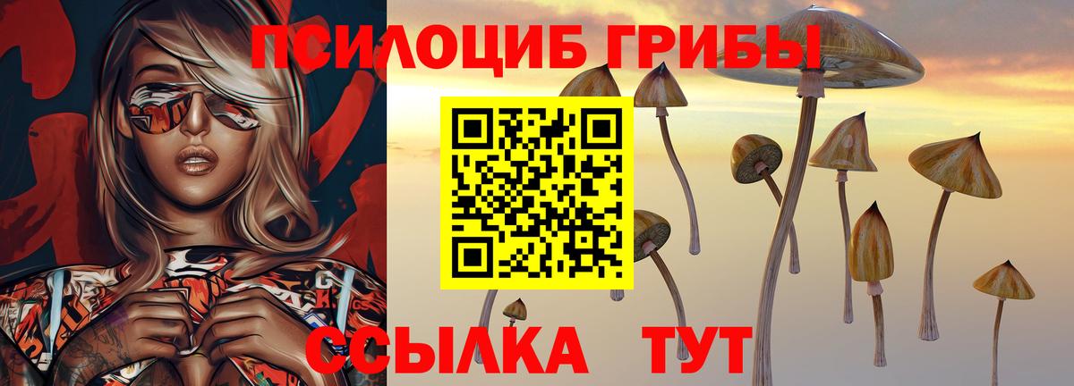 Тайшет  Псилоцибиновые грибы ЛСД  Вход с VPN 